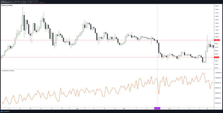 XBT/USD Bitmex 1D Chart (top), Bitcoin Hashrates 1D Chart (bot)
