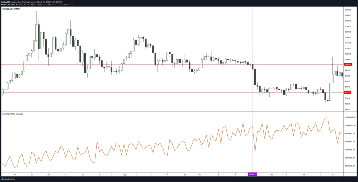 XBT/USD Bitmex 1D Chart (top), Bitcoin Hashrates 1D Chart (bot)