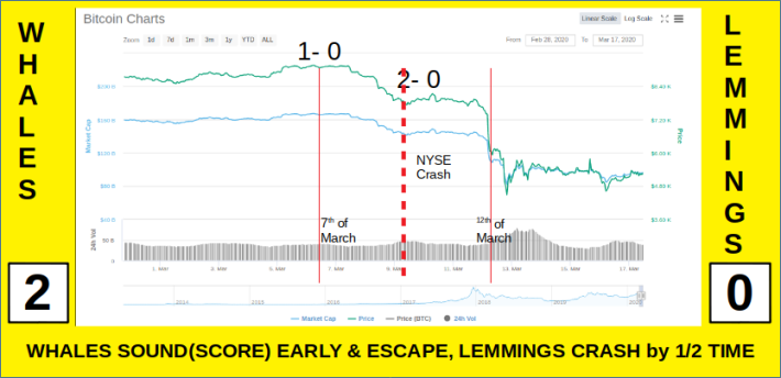 The Real Score