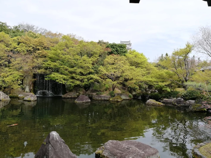 garden