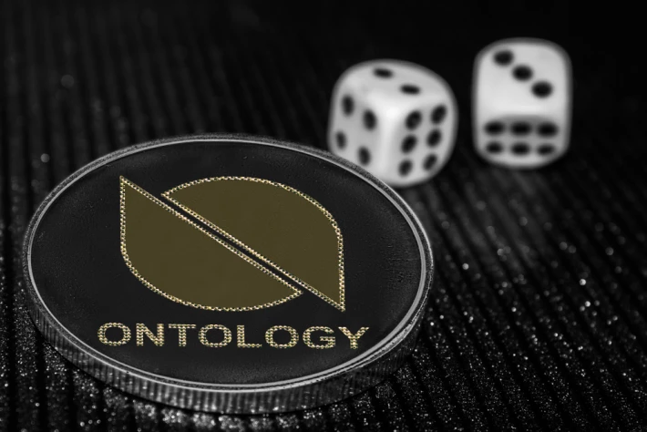 why does ontology exist