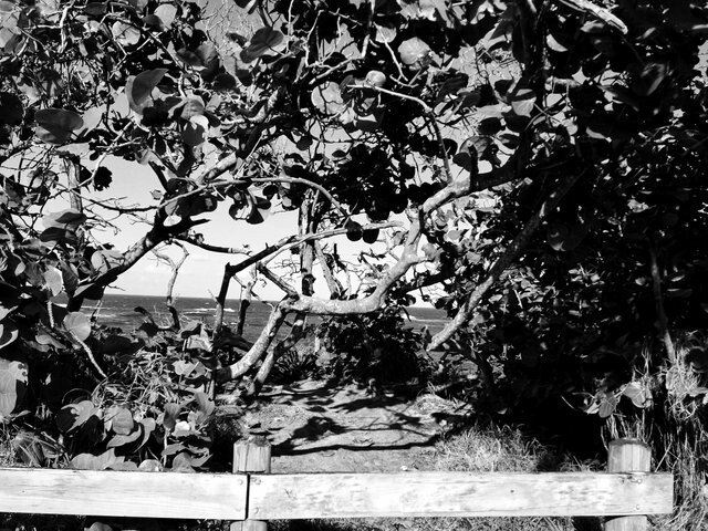 190903265-9e4cc939fe301c055f619c8a7b334b367e39a0f48b8b78bcf5732b127b2734bf.jpeg