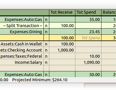 Checkbook like Register