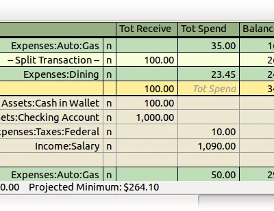 Checkbook like Register
