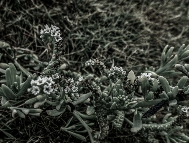190903265-63c235fa16090d2a494a4e629798f9291915f7faf676f067a9c9cc06e3ef073a.jpeg