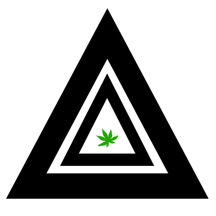 351665157-db055fb210bca59e9f9c87ca7a293f39d3a3330d7367b0a624c0f3e49500f820.png