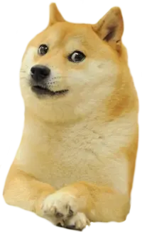 351665157-c1329ba6708b092f5963202e0376677ccf958a1188dfc701c7476cf97ef9ca57.png