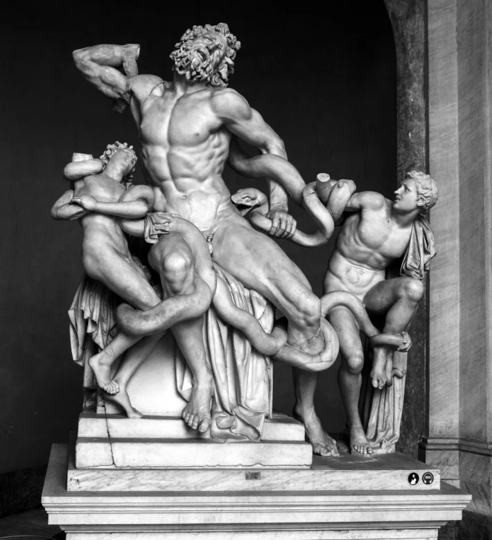 Il Laocoonte, Musei Vaticani, Italy