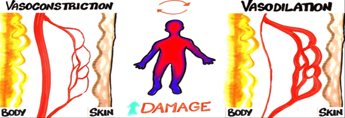 190903265-21516bde437baa9999f5de101049079d9a4ded0d84af80b08cd83f8a43fe7b93.png