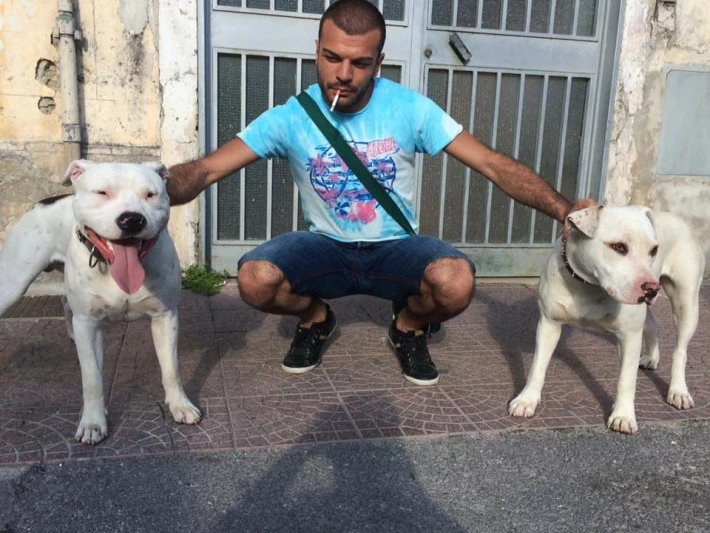 puppies