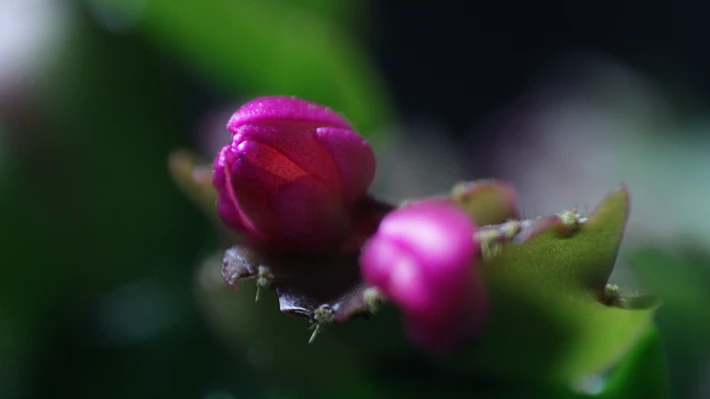 351665157-9d0e1ef74daf3d23cb288c090ef329935eb0e4c1a6da6314dbb7afb5704795b0.png