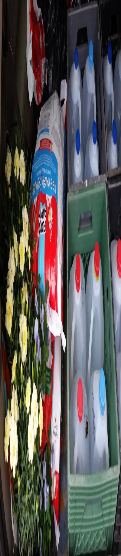 3143414223-2a06bf85849c74592806548a57466860ccf5f2e8558d6c5617002d79d4cd4e56.jpeg