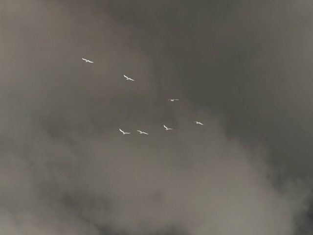 190903265-c633da698208dcb2b29497fc6329418681b2546d18872311e9c67497c10a4bd3.jpeg