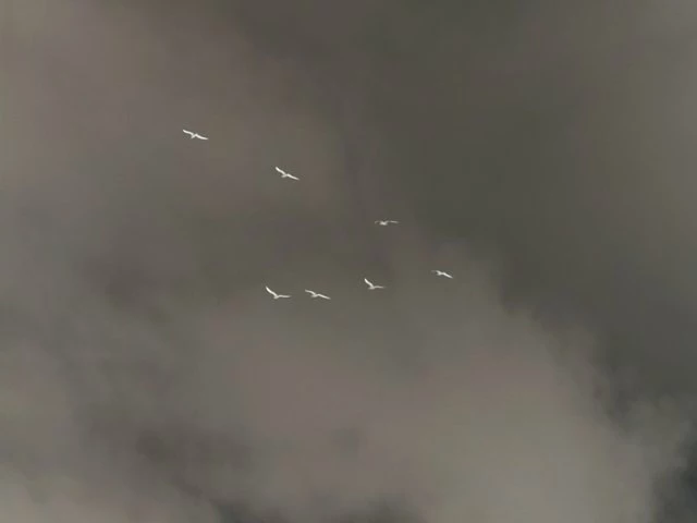 190903265-c633da698208dcb2b29497fc6329418681b2546d18872311e9c67497c10a4bd3.jpeg