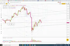 Was this only a dead cat bounce?
