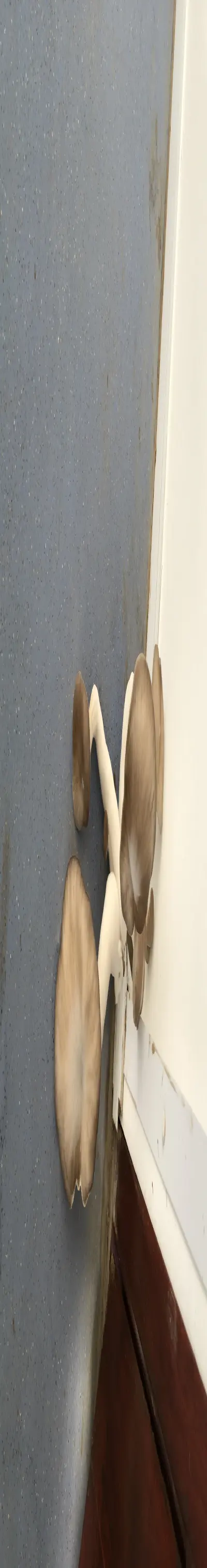 3143414223-ba3b33da155cec894412847d7f9443080f16c08a66418340cf9384a1904985bb.jpeg