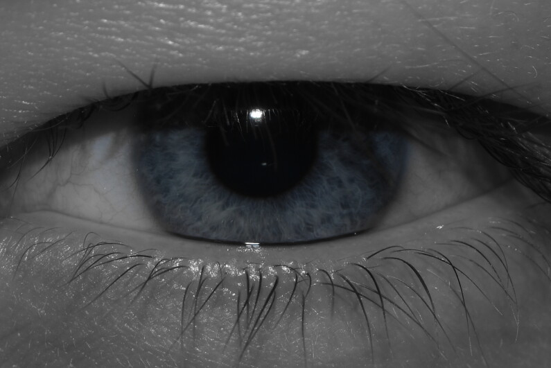 Bella Eye