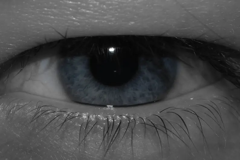 Bella Eye
