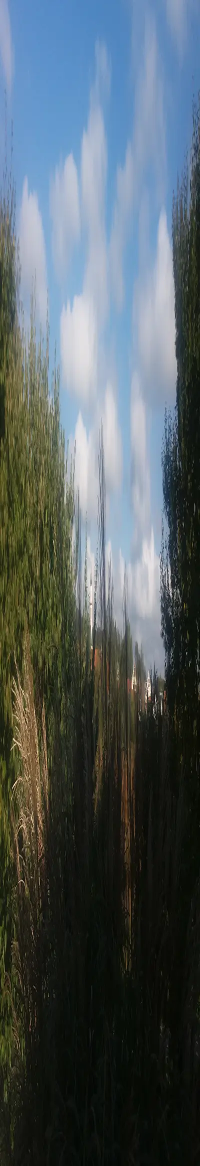 3143414223-7b057fdb35c0782cd6da83217751a3600d18dc01ae9af9096ac3ee68392e7367.jpeg