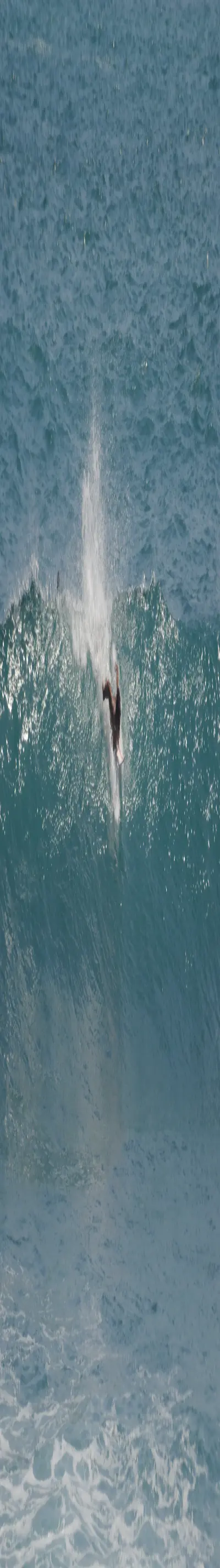 3143414223-eb327345477e9a94f3d4d268544007a8835fddae7a51d8f481cd39d1408d36ab.jpeg