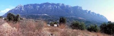 alburni
