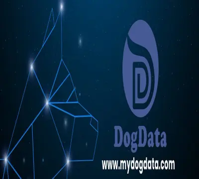 3143414223-6da91d84d1b1130e98c485de54a488967d591ed2ad644cb31a8c59170877cb5e.jpeg
