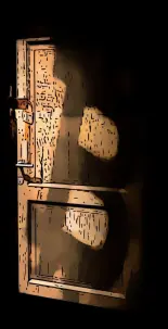 A locked door, with the shadow of a bitcoin symbol on it. For attributions, please click on image.