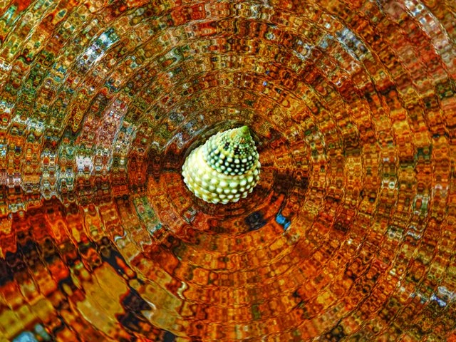 190903265-ec9dd8bf393167d06616256d07f40427f3500099f82e0424acc5f23ff57de6e8.jpeg