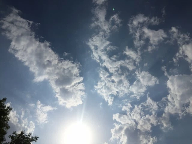 190903265-469f8badd86208121352cfee895bc4a68380f4f50cdcc59da93d893a3ba238f6.jpeg