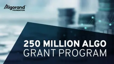 250M ALGO Grant Program