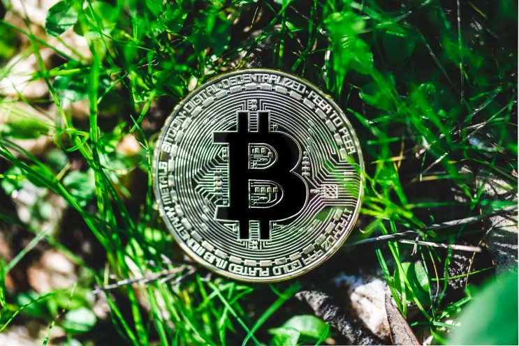 Bitcoin .MirkoLis