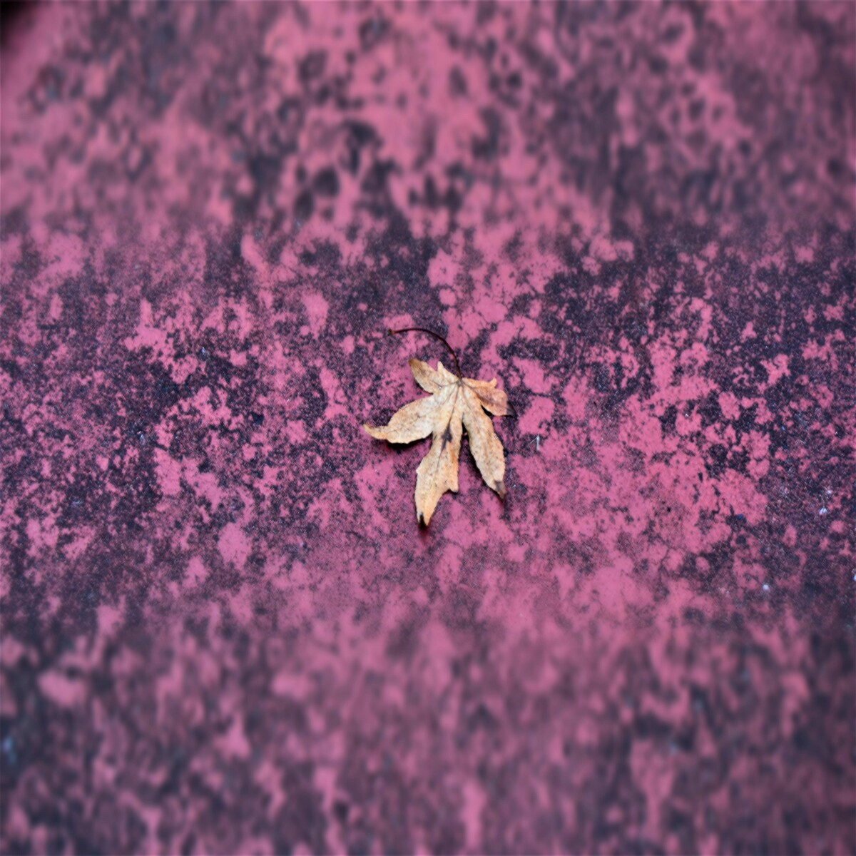 Fallen