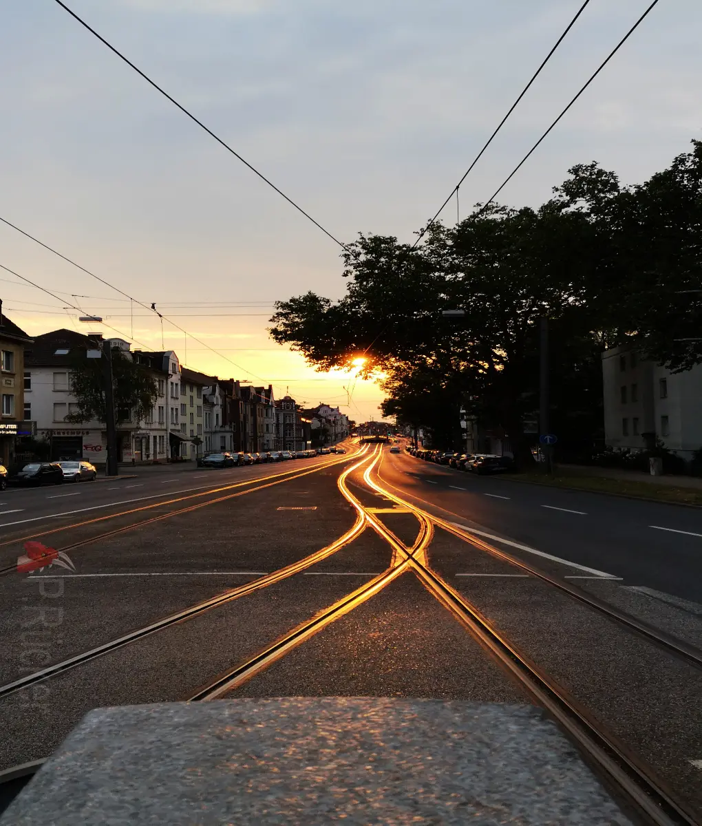 rails of a tram