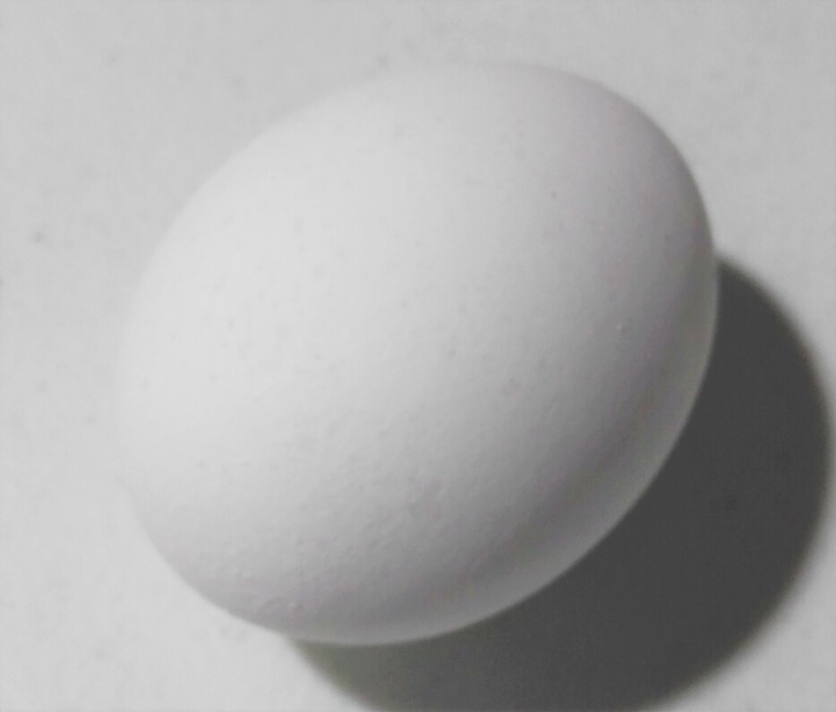 the egg