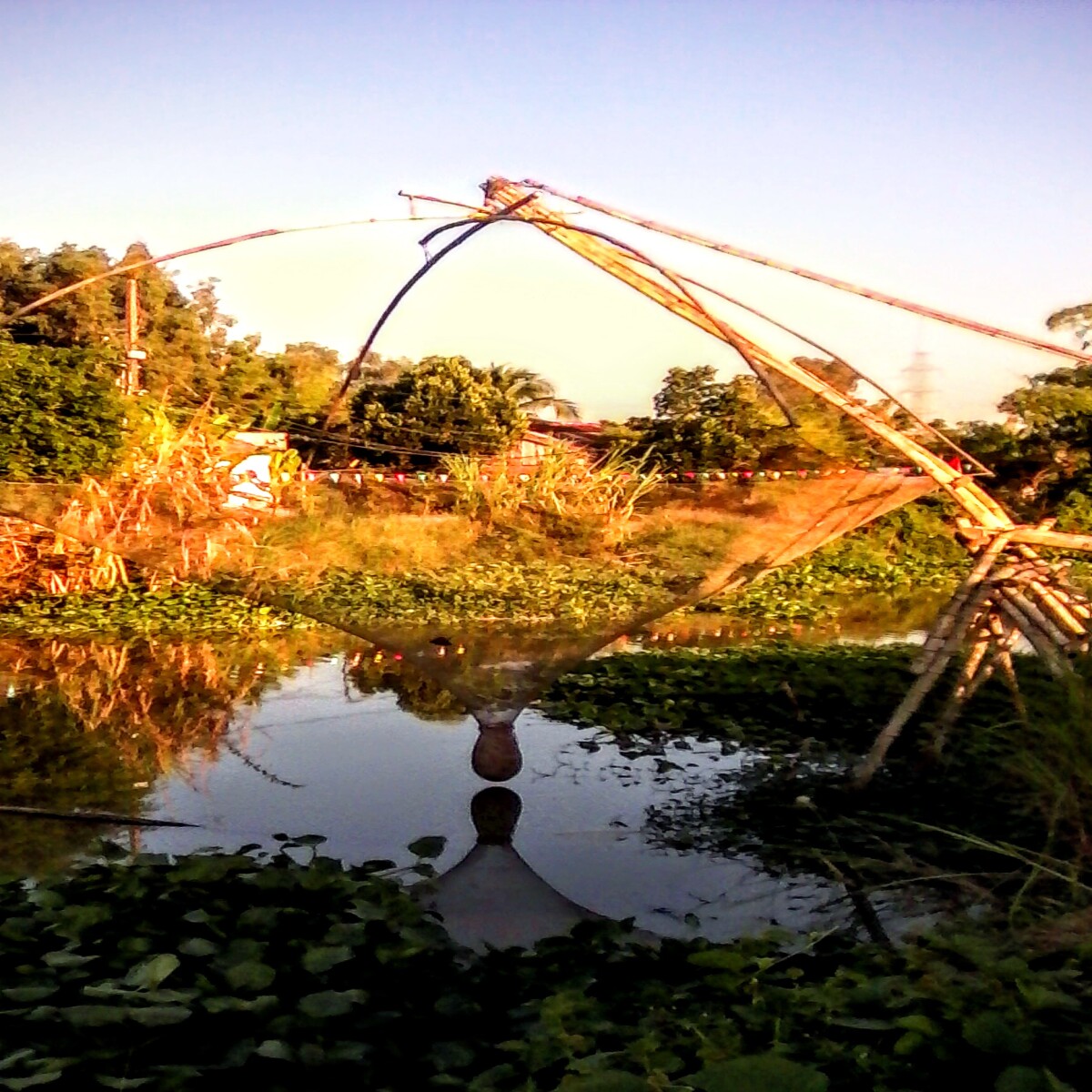 Fishing Net