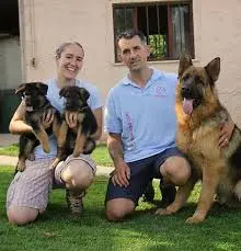 family