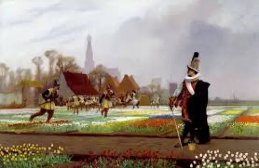 tulip farm