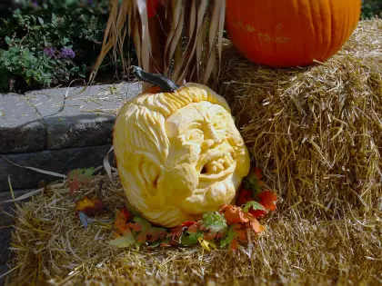 tRumpkin