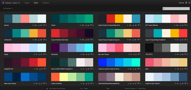 190903265-8b0285bac1911c8fced4f53c716008411ea95b2aaf9578b97dae35094c428ba2.png