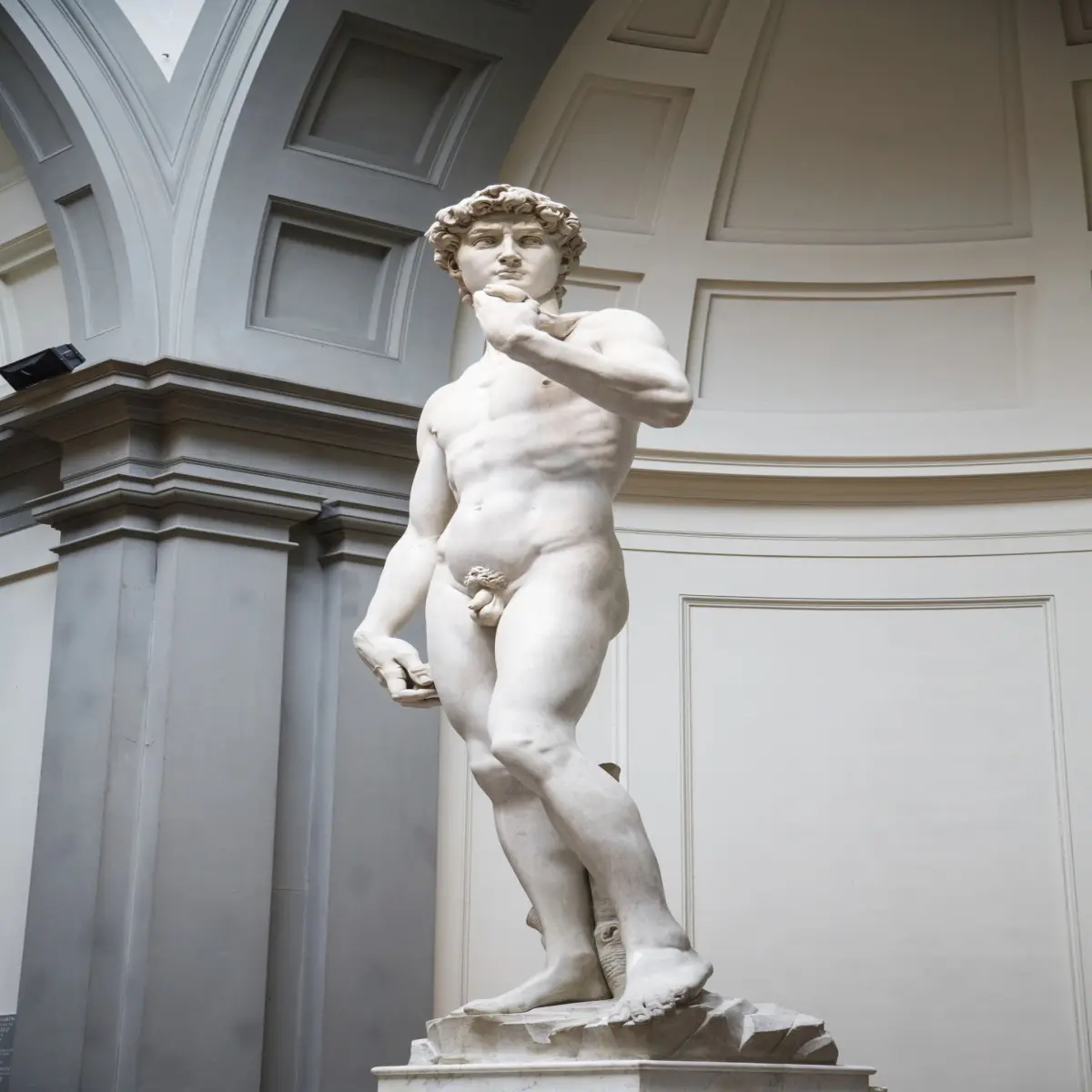 david