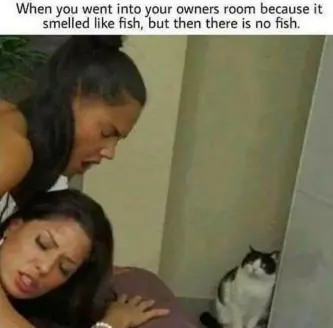 i can has moneys