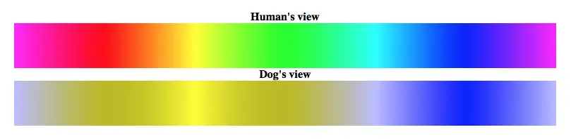 a453620d2848badb72d72a66791cfb51f4b45cd56b0931ded422e7220c71847a.png