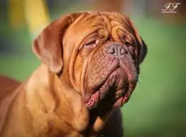 eccoloo