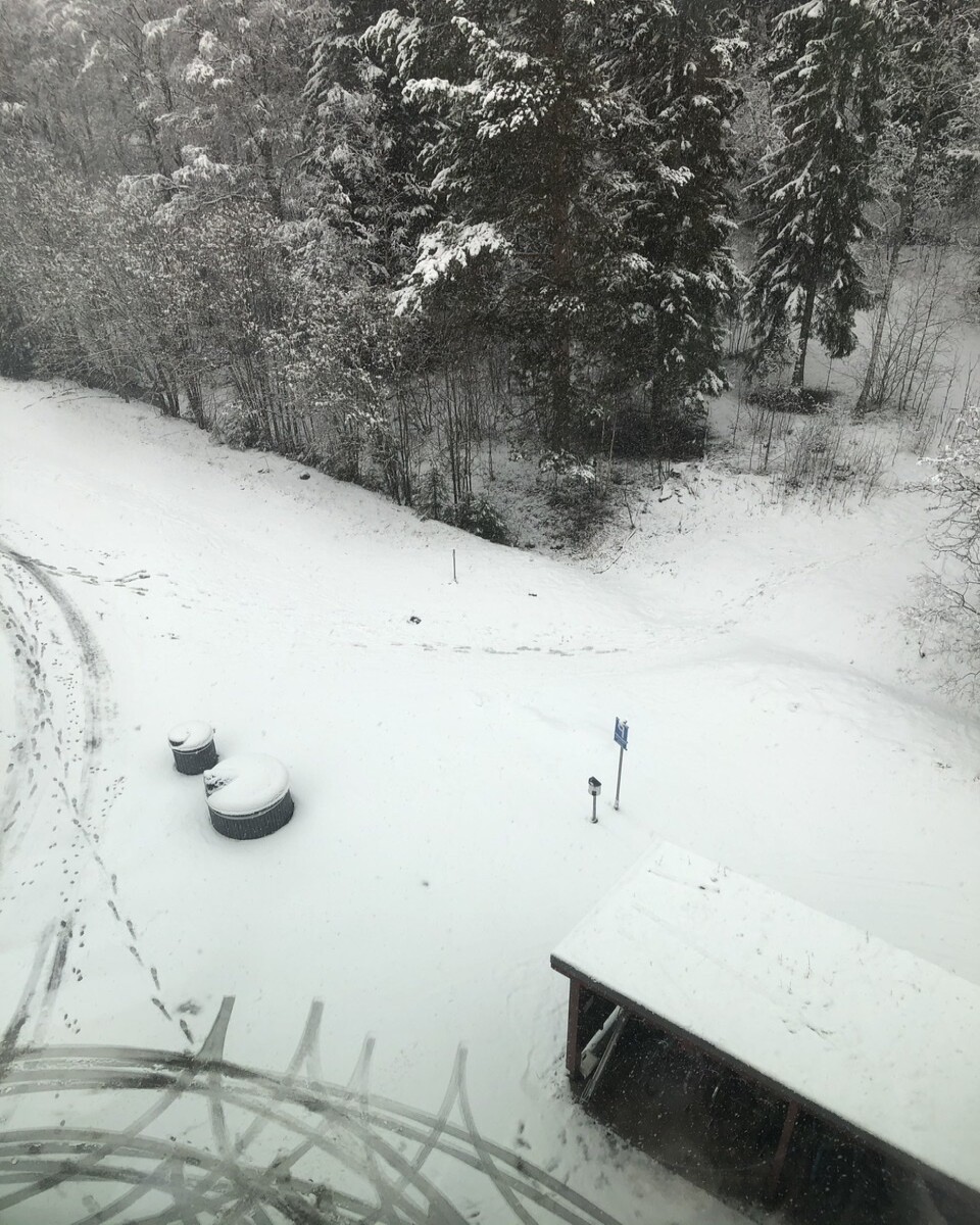 May 2nd 2020 view from my window
