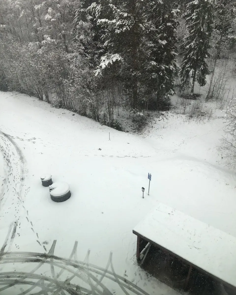 May 2nd 2020 view from my window