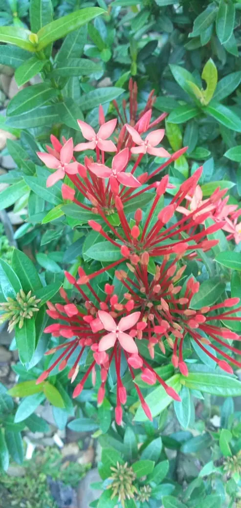 f773d1265b9b68b70ba699862123df4f6b60ec41b84fa2c4a41ba3f4cacf29ce.jpeg