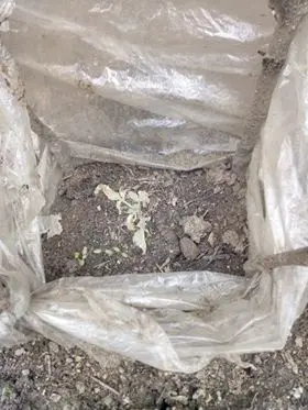 ae1bcb78df5ea43a6c9da7edfdc5564a3e484ade2b4a1632bac82ea820234615.jpeg