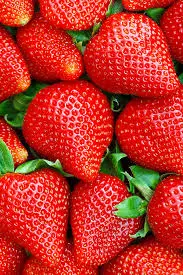 fragole