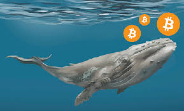 ec340b21b0dd84e0d9cb3b7499e5c4e65084ed62303272e0b5c39fcb9402c245.jpeg