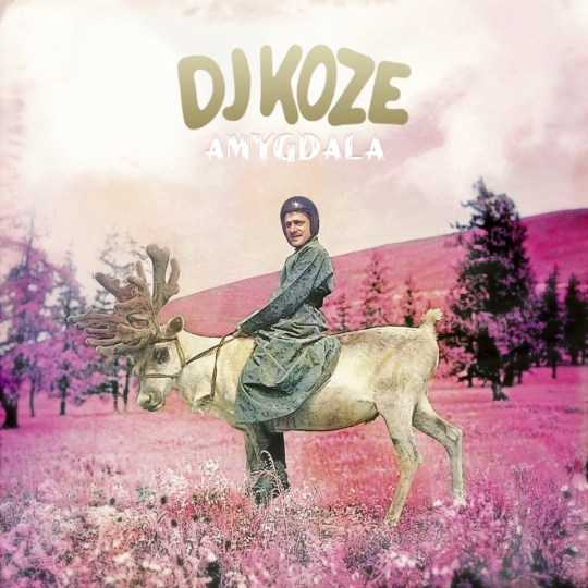 Dj Koze - Amygdala, album art.